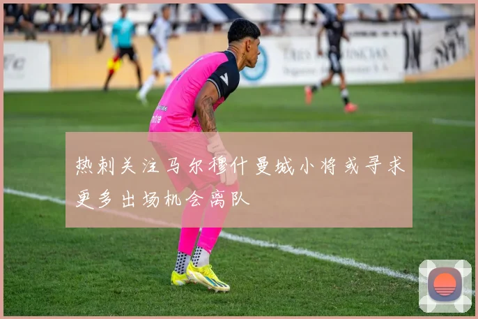 热刺关注马尔穆什曼城小将或寻求更多出场机会离队