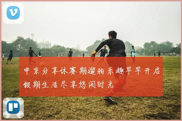 申京分享休赛期遛狗乐趣早早开启假期生活尽享悠闲时光